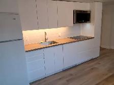 Furnished 2-Bedroom Apartment in Downtown Hull