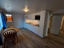 Furnished 2-Bedroom Apartment in Downtown Hull - Photo 5