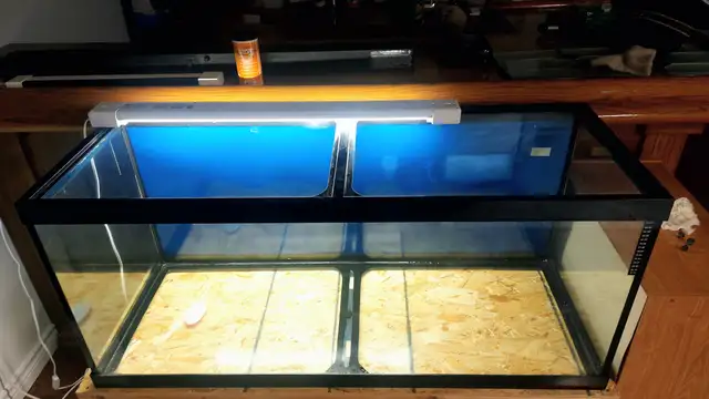 75 gallon fish tank for sale