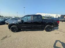2025 Ford F-150 - Photo 4