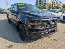 2025 Ford F-150 - Photo 9