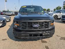 2025 Ford F-150 - Photo 10