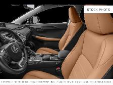 2020 Lexus NX - Photo 5
