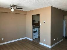 Breathtaking view of the Ottawa Valley River - 1 bdr condo - Photo 3