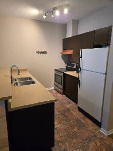 Great Downtown 1 Bedroom Apartment for Rent in Heart of London! - Photo 5