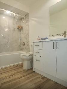 Whitby House For Rent, 4 Bedrooms, 3 Baths, Finished Basement - Photo 8