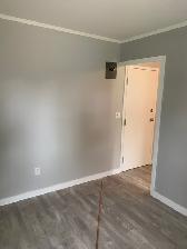 NEW AD - Melville Apartments - One bedroom JUNIOR by City Hall - Photo 3