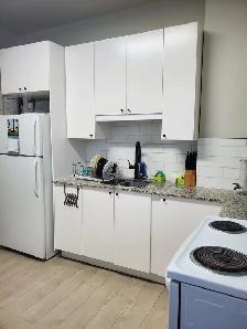 FURNSHED RM/GR8 FEMLE HOUSESHRE/ACRS FRM OTT-U & RIDEAU CNTR - Photo 8