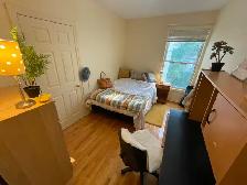 FURNSHED RM/GR8 FEMLE HOUSESHRE/ACRS FRM OTT-U & RIDEAU CNTR - Photo 11