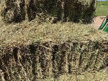 SMALL SQUARE HAY BALES FOR SALE:  CALL FOR PRICING