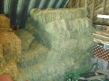 SMALL SQUARE HAY BALES FOR SALE:  CALL FOR PRICING - Photo 2