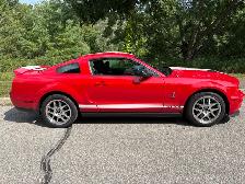 2008 Shelby GT500 - Photo 4