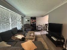 NORTH END Main Floor 3 Bedroom Apartment! - Photo 4