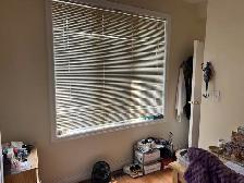 rooms for rent at York University village - Photo 8