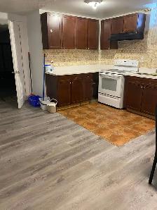 2 Bedroom Basement Apartment for Rent - Photo 6