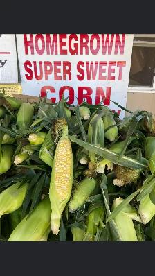 Super sweet corn