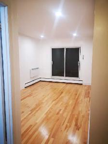 Appartement 3 1/2 à Montréal près du Parc Lafontaine