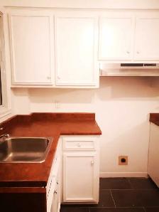 Appartement 3 1/2 à Montréal près du Parc Lafontaine - Photo 4