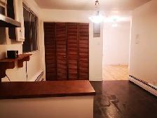 Appartement 3 1/2 à Montréal près du Parc Lafontaine - Photo 6