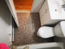 Appartement 3 1/2 à Montréal près du Parc Lafontaine - Photo 8