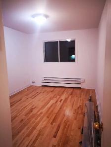 Appartement 3 1/2 à Montréal près du Parc Lafontaine - Photo 10