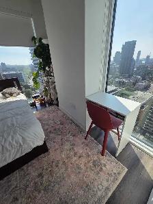 Master Bedroom for Rent Downtown Toronto/private bath - Photo 7