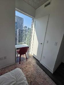 Master Bedroom for Rent Downtown Toronto/private bath - Photo 8