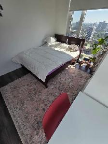 Master Bedroom for Rent Downtown Toronto/private bath - Photo 10
