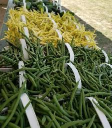 Super sweet corn - Photo 5