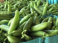 Super sweet corn - Photo 7