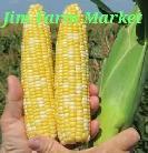 Super sweet corn - Photo 9