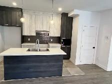 Grand 41/2 neuf de style Condo haut de gamme et lumineux - Photo 5