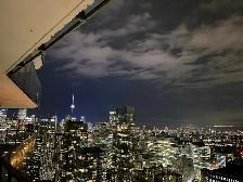 Entire Downtown Toronto 1 Bed Den Condo with CN Tower Views - Photo 2