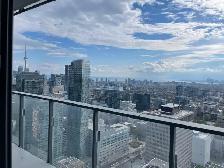 Entire Downtown Toronto 1 Bed Den Condo with CN Tower Views - Photo 3
