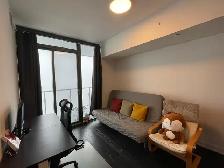 Entire Downtown Toronto 1 Bed Den Condo with CN Tower Views - Photo 8