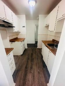 Renovated apartments for rent ASAP!! - Photo 4