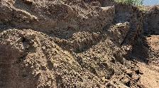 FREE Premium Clean Topsoil – Approx  150 Loads Available - Photo 5