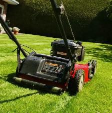 LAWN CARE & GRASS SERVICES