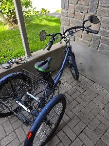 Tricycle électrique à vendre - Photo 2