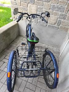 Tricycle électrique à vendre - Photo 3
