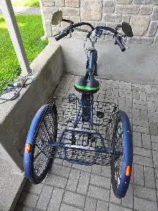 Tricycle électrique à vendre - Photo 6