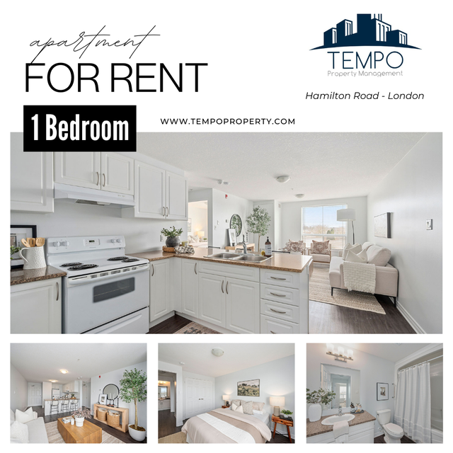 3rd Floor Affordable 1 BD unit/1166 Hamilton Rd London/Sept 1st