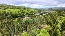 Cabin for Sale - Gallants - Photo 4