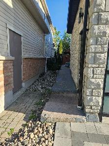 Brand New Spacious 3 - Bedroom Basement Apartment for Rent