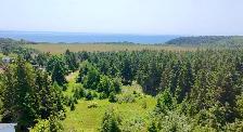 Stunning 4.75 Acre Property - Photo 3