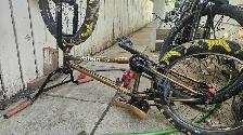United bmx limited - Photo 9