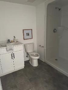 Student Rental -Ridgetown 3Bed/3Bath/Garden Level - Photo 4