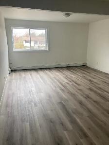 Fully Renovated Unit Available August 7th! - Photo 2