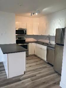 Fully Renovated Unit Available August 7th! - Photo 4