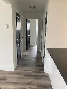 Fully Renovated Unit Available August 7th! - Photo 6